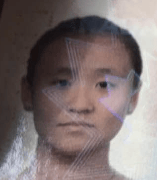 Zi Shan GUO