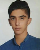 AMINI Ali