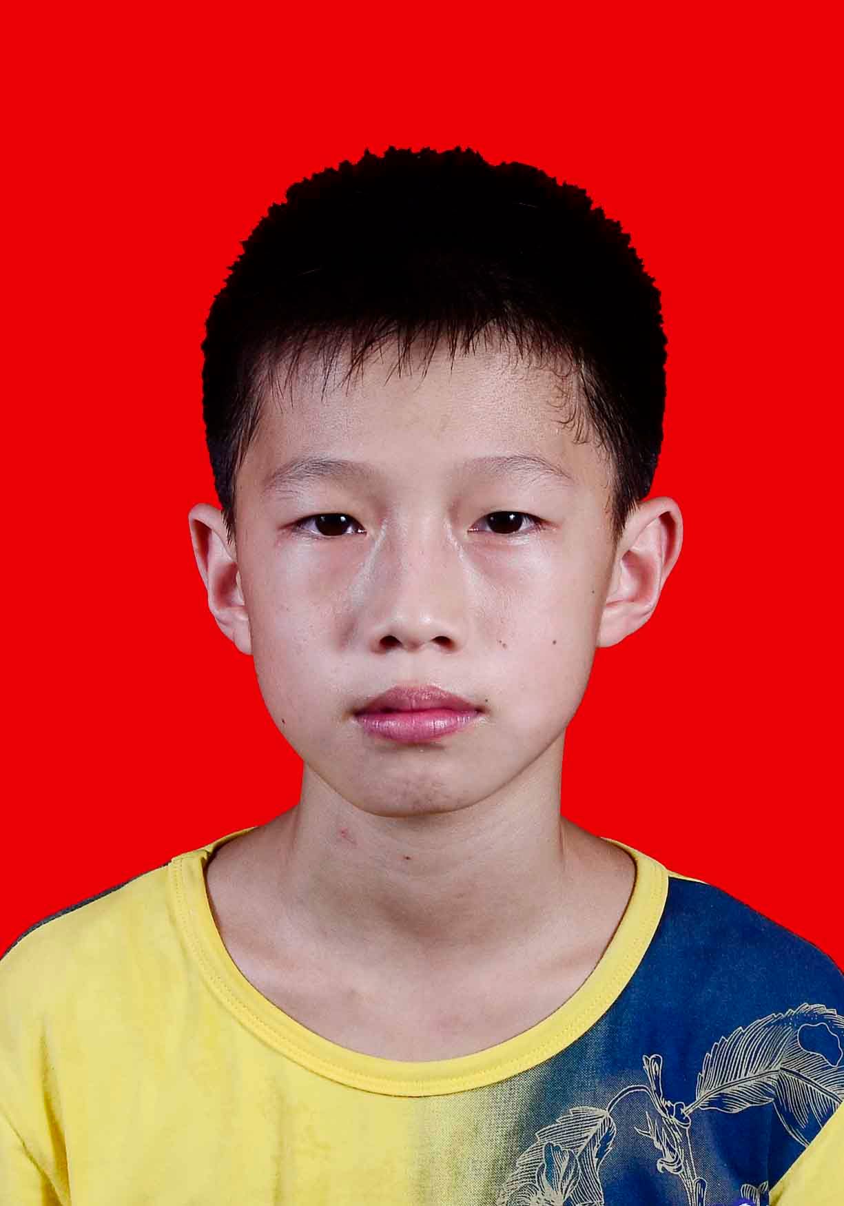 SU Zhenghui