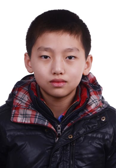 CHEN Yijun