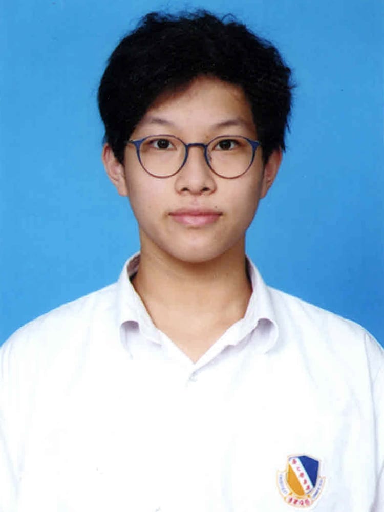 WANG Liangdi