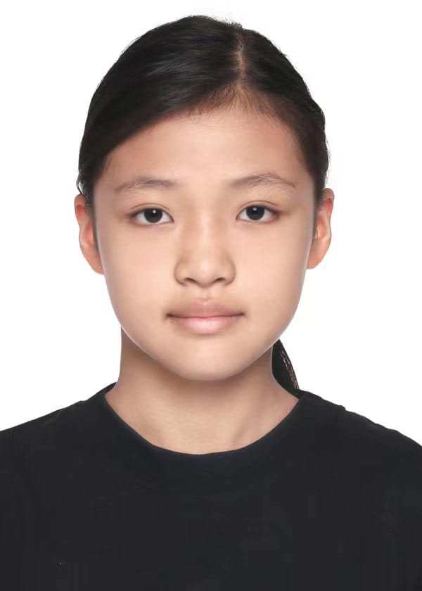 XIA Youyang