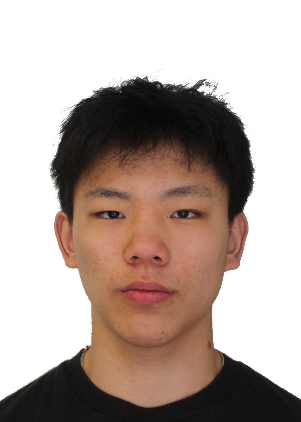 ZHAO Zidong