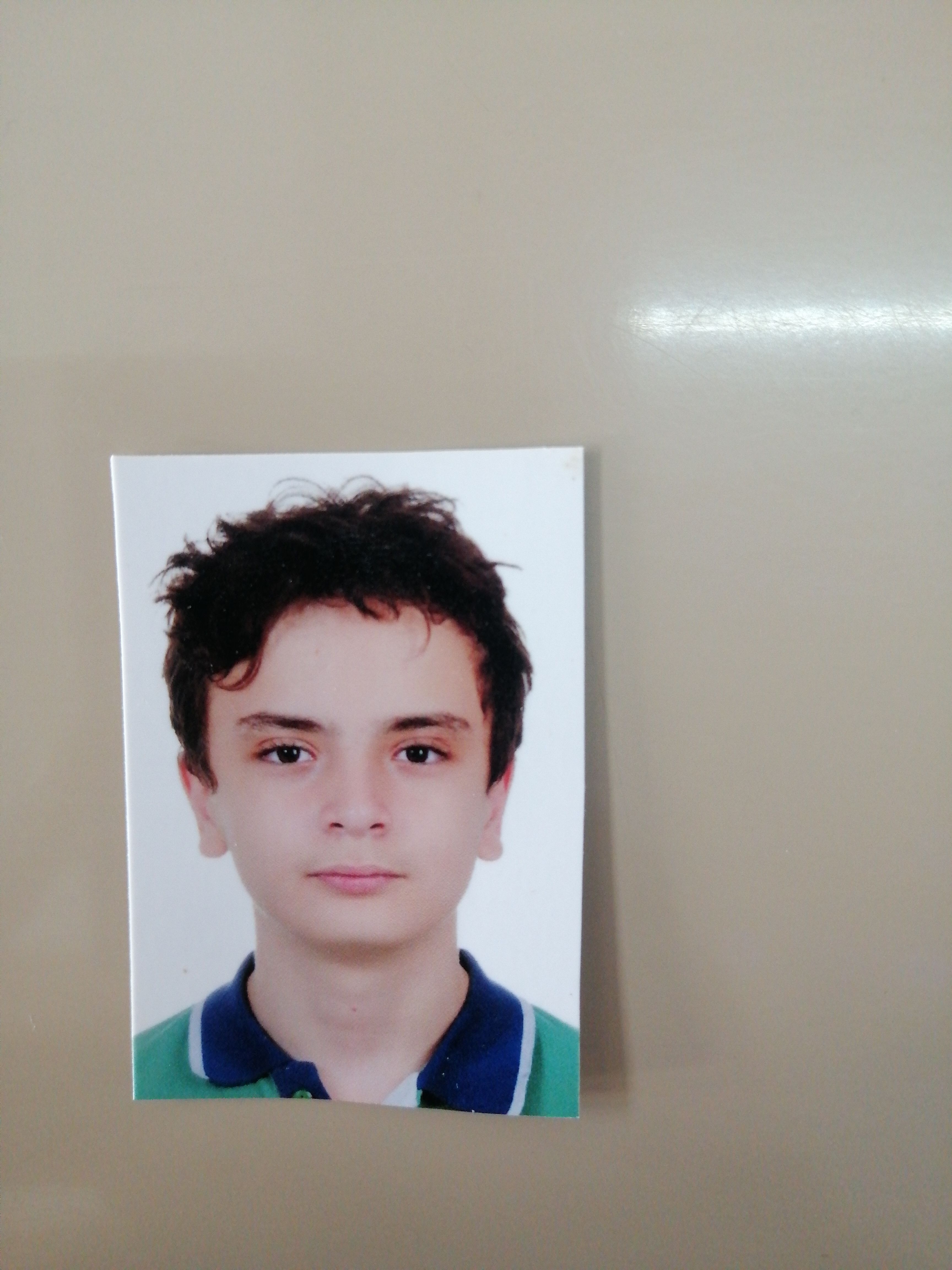 KARAGULLE Emir