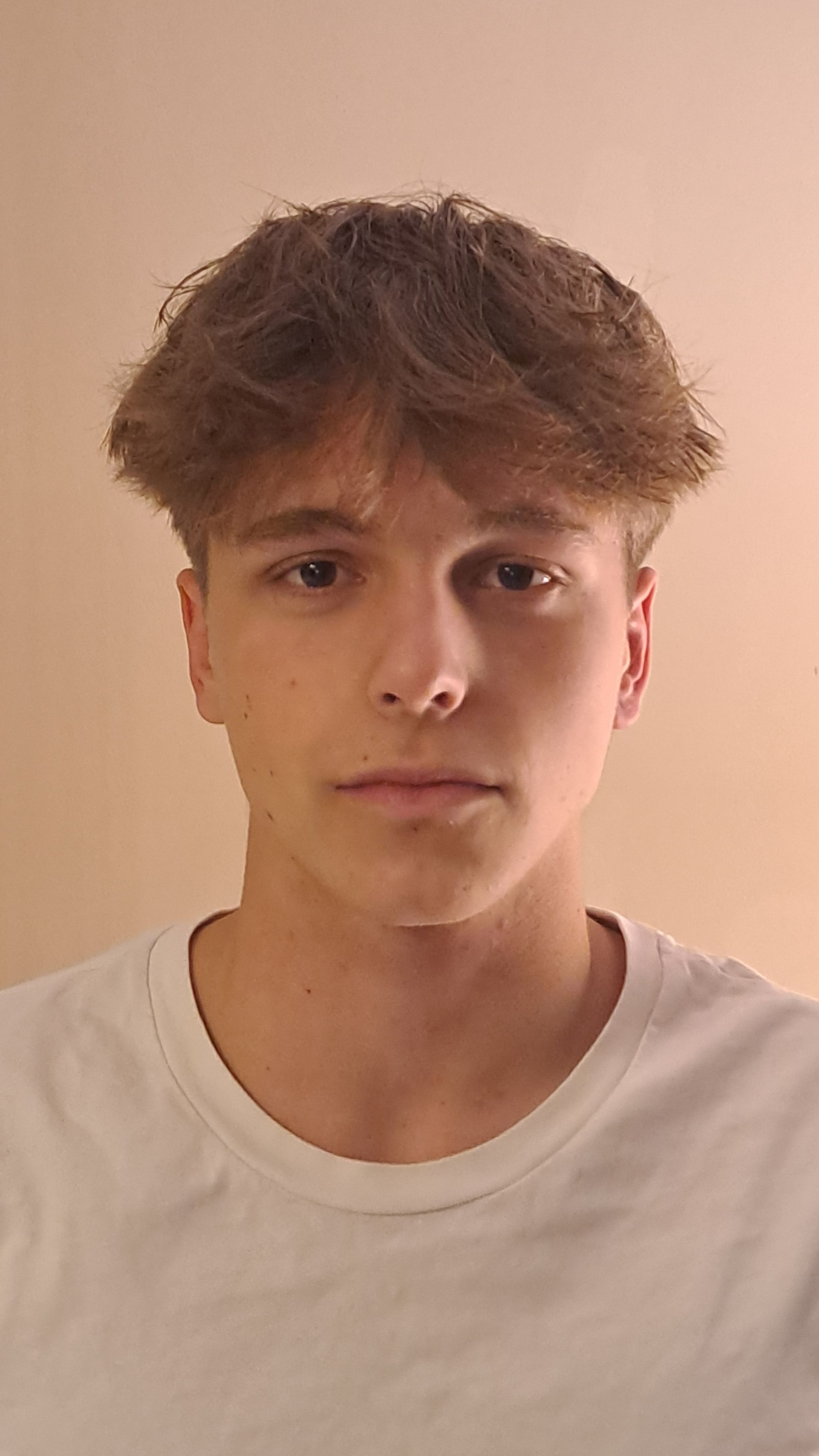 STER Nandor