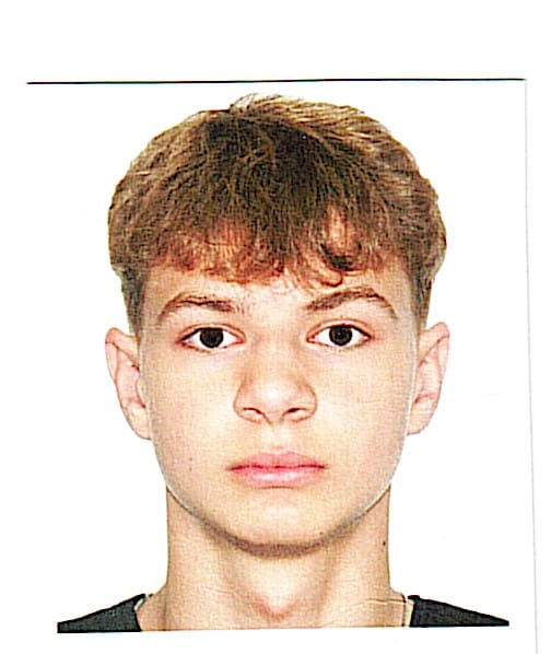 FLEGINSKII Mark