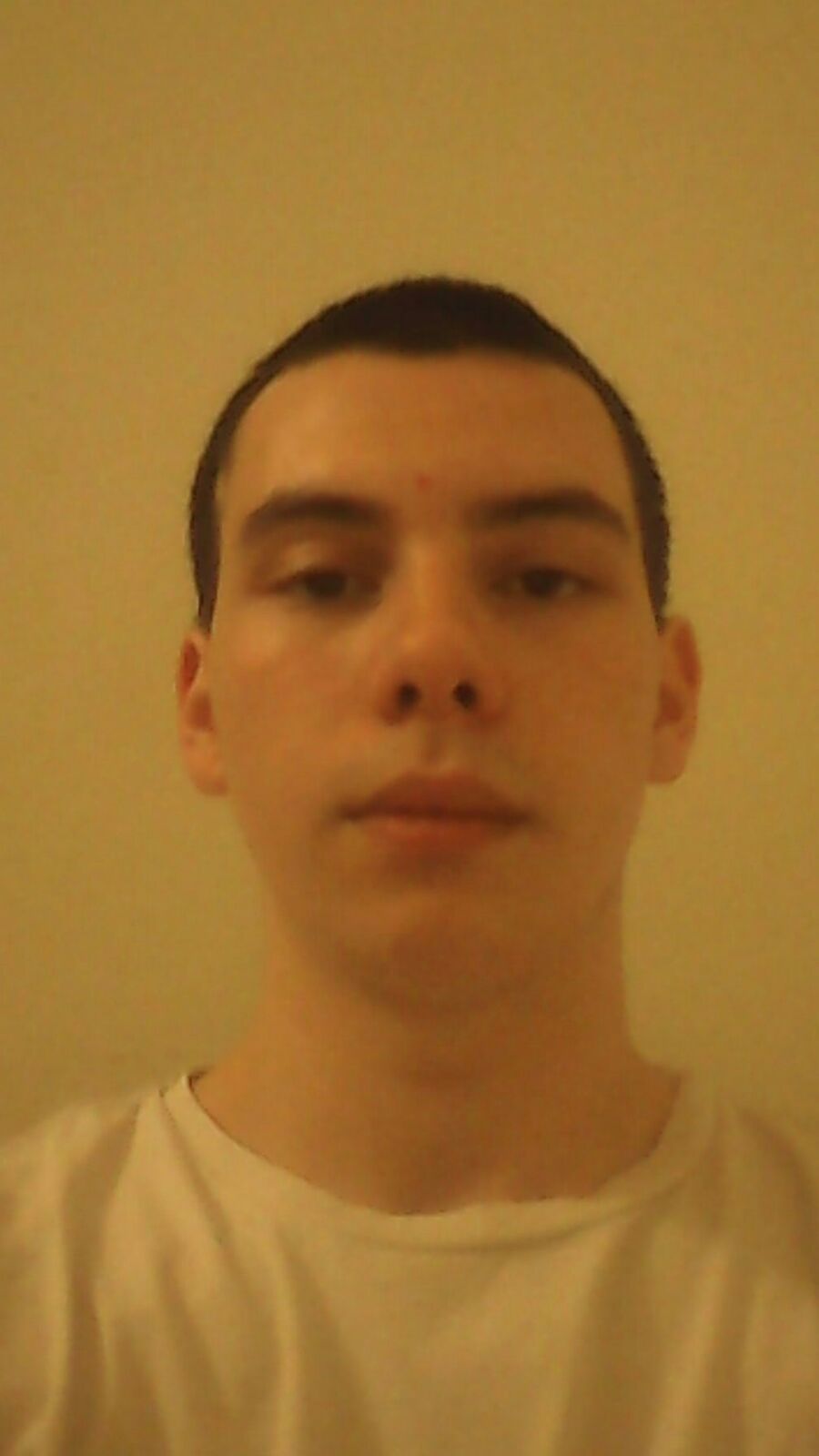 CVETIC Jovan