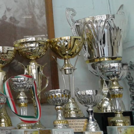Fencing and the University of Physical Education in Budapes