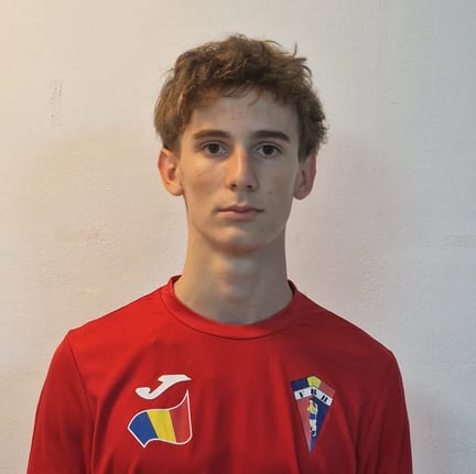 Mihnea VELICU