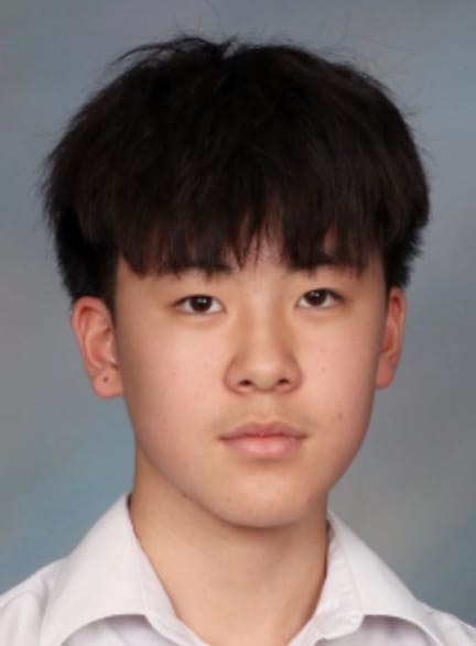 Jeremy Ziqi LIN